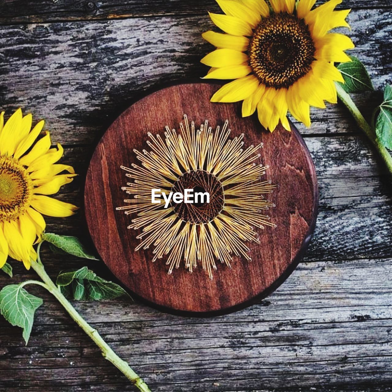 HIGH ANGLE VIEW OF YELLOW FLOWERING ON TABLE