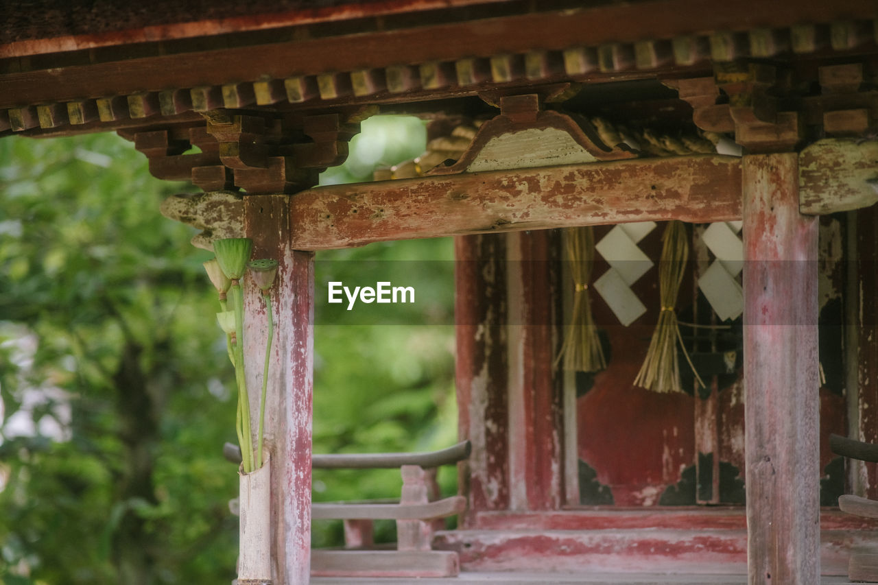 architecture, built structure, temple, no people, shrine, architectural column, day, roof, building, wood, temple - building, outdoors, nature, outdoor structure, history, plant, travel destinations, building exterior, religion