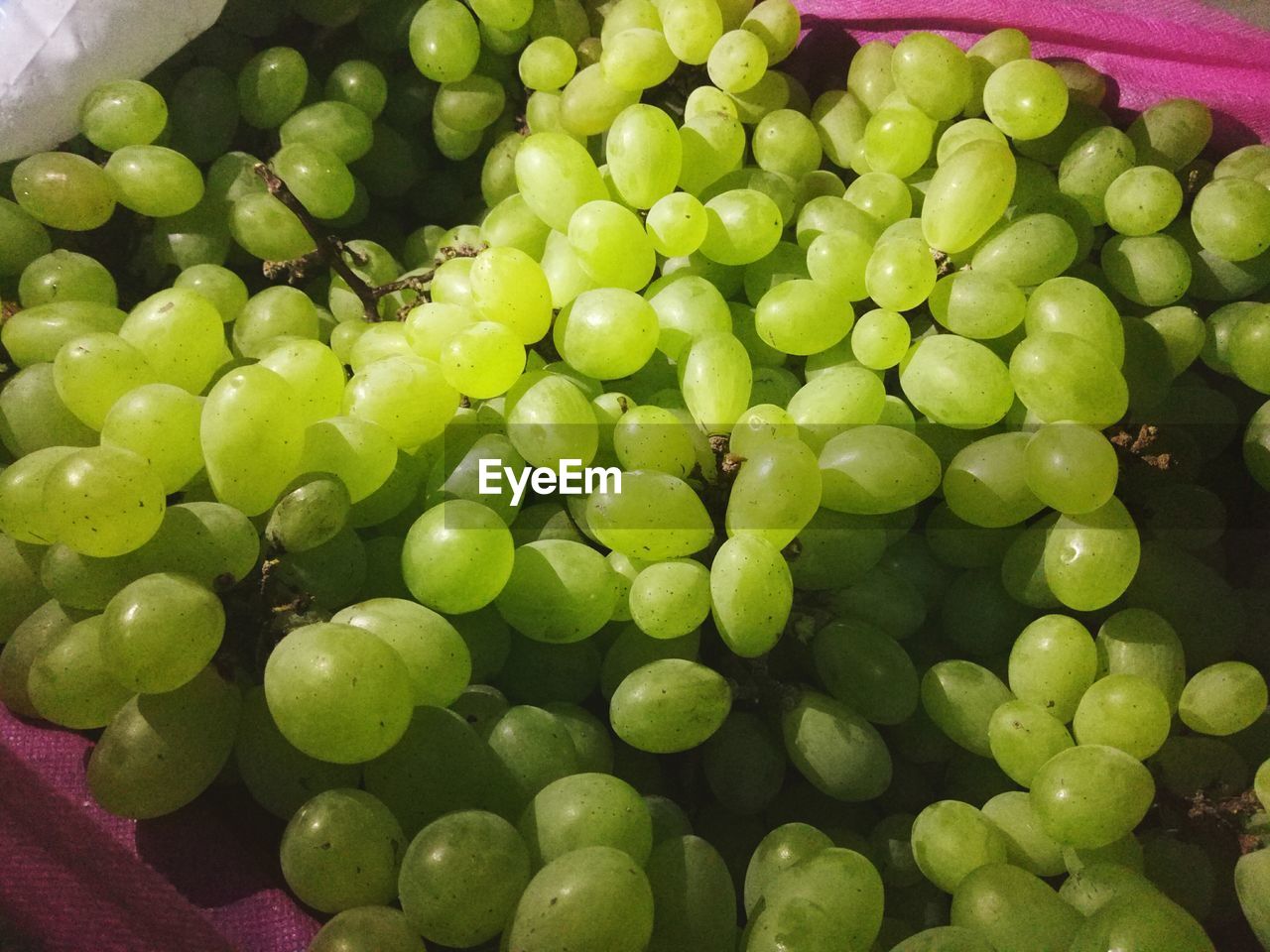 CLOSE-UP OF FRUITS ON GREEN PLATE