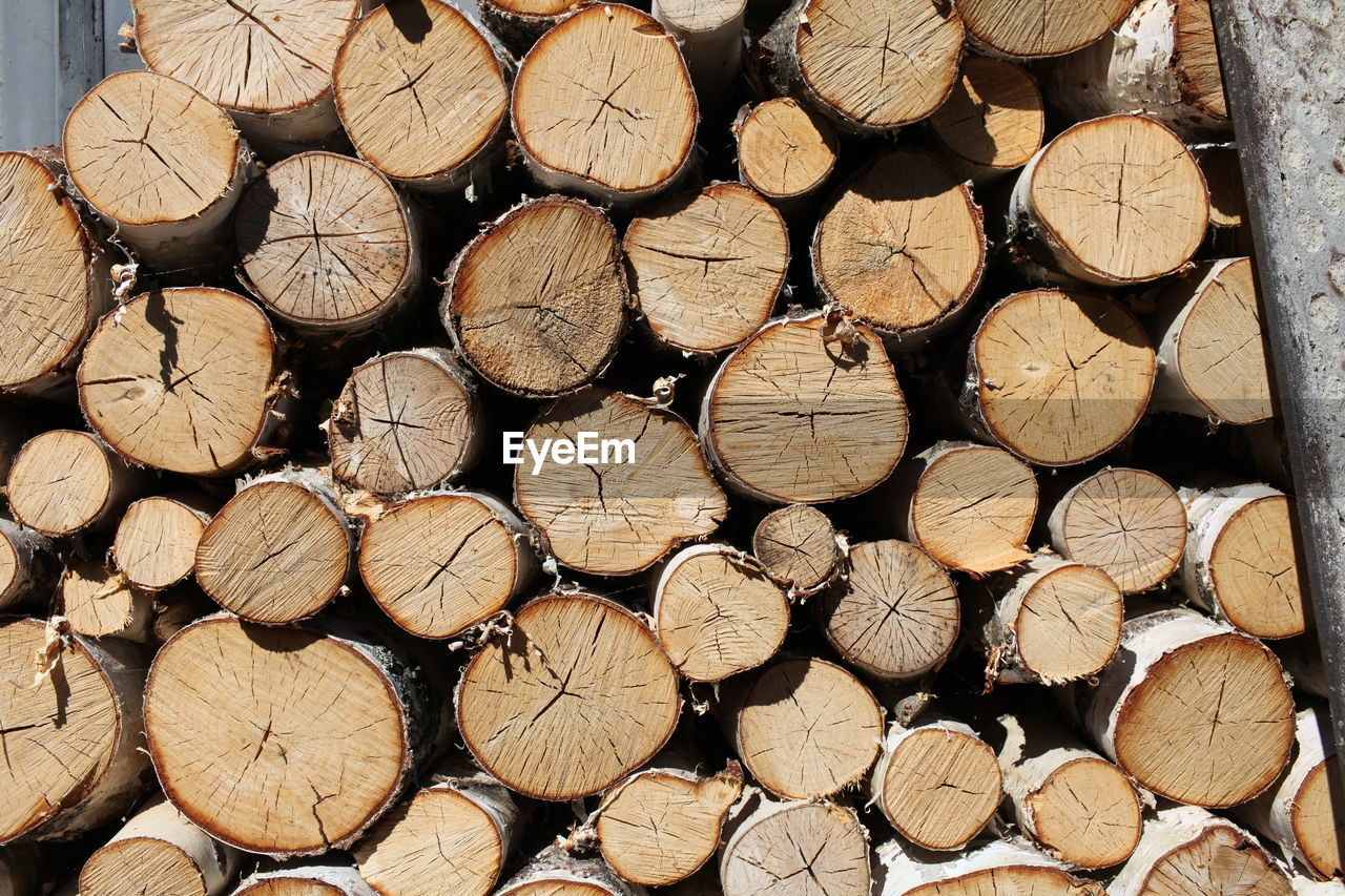 FULL FRAME SHOT OF LOGS IN THE FOREST