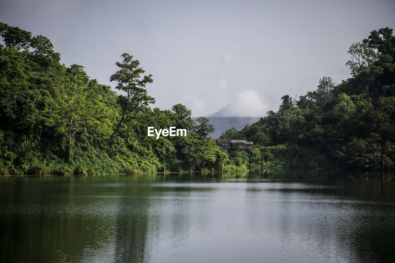 Scenic view of lake by trees against sky