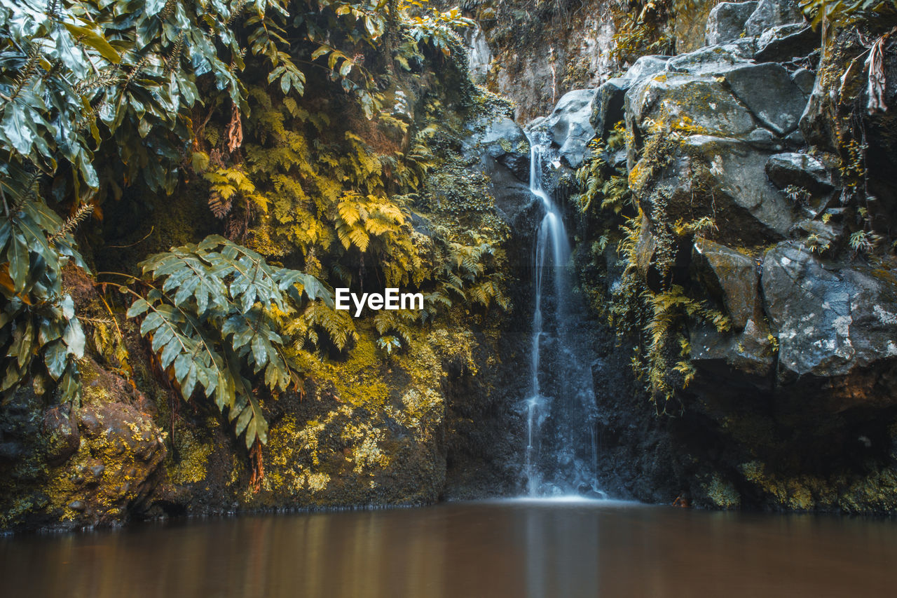 VIEW OF WATERFALL