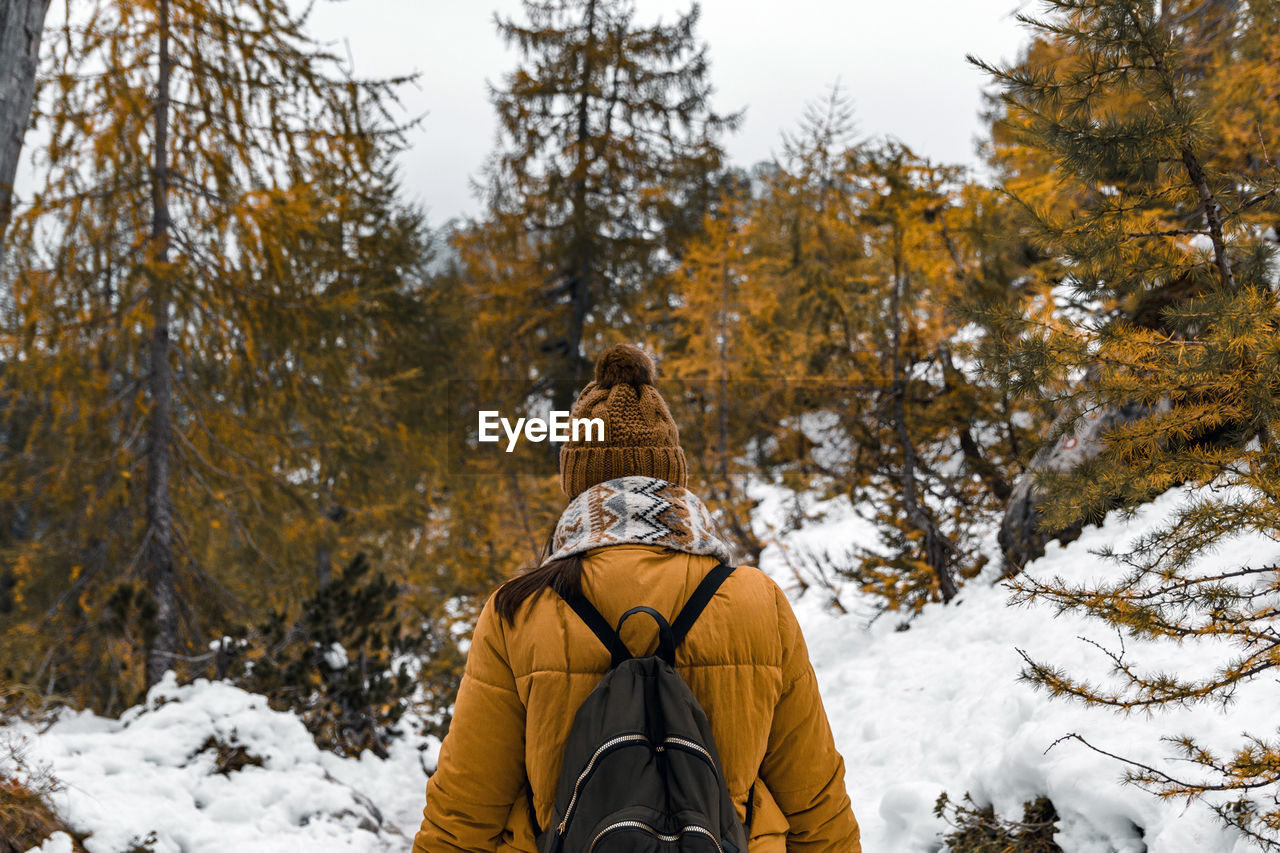 tree, winter, snow, cold temperature, rear view, nature, leisure activity, clothing, one person, warm clothing, forest, plant, autumn, adult, hiking, jacket, backpack, beauty in nature, land, scenics - nature, mountain, men, vacation, holiday, day, lifestyles, pinaceae, trip, adventure, coniferous tree, outdoors, environment, travel, pine woodland, wilderness, activity, pine tree, non-urban scene, travel destinations, sports, landscape, sky, young adult, exploration, woodland, looking, tranquil scene, waist up, standing, hat, tranquility, winter sports, weekend activities, tourism, person