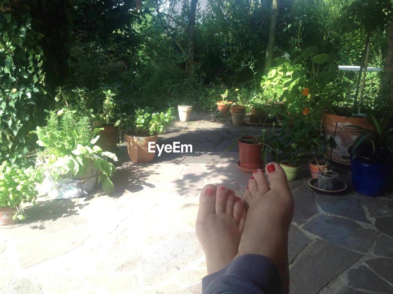 Low section of woman leg against plants and trees