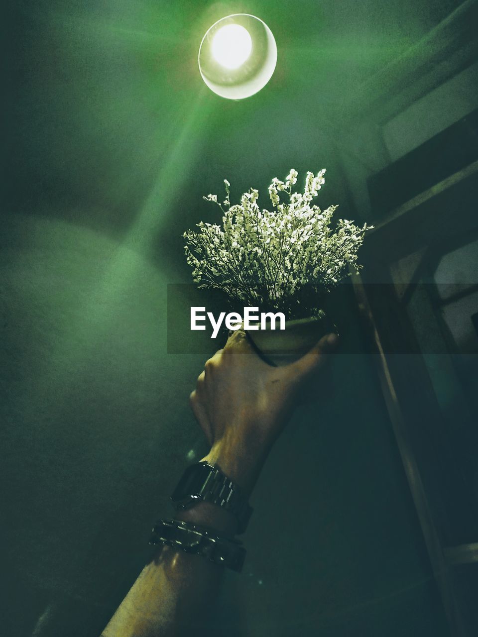 Close-up of hand holding flower pot at illuminated home