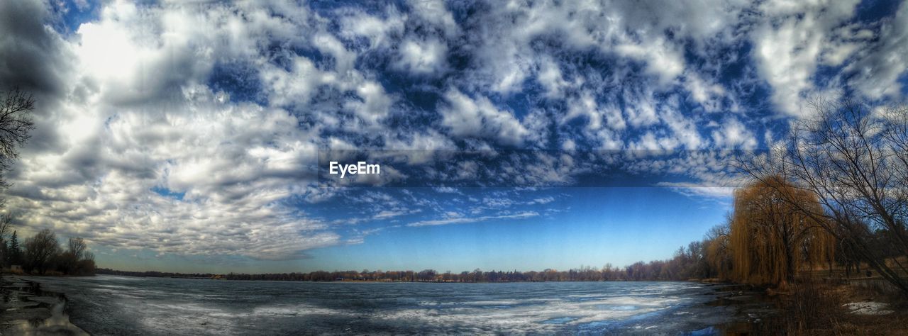 PANORAMIC VIEW OF TREES ON LANDSCAPE AGAINST SKY