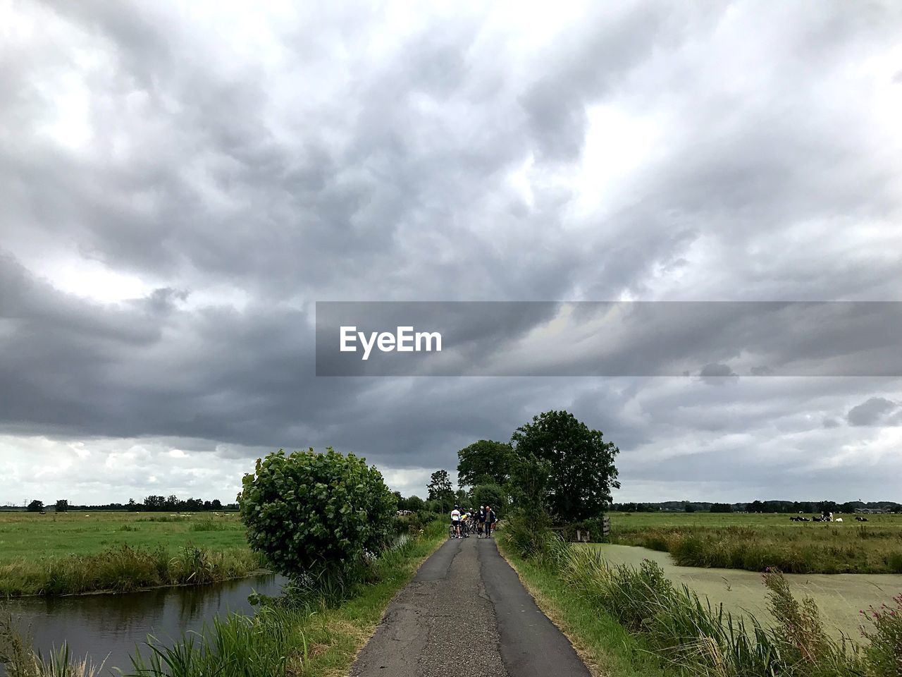 ROAD AMIDST TREES AND PLANTS ON FIELD AGAINST SKY