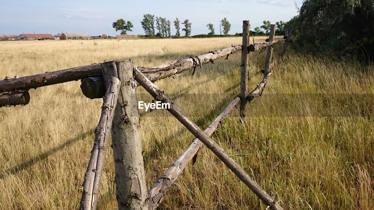 Fence on grassy field