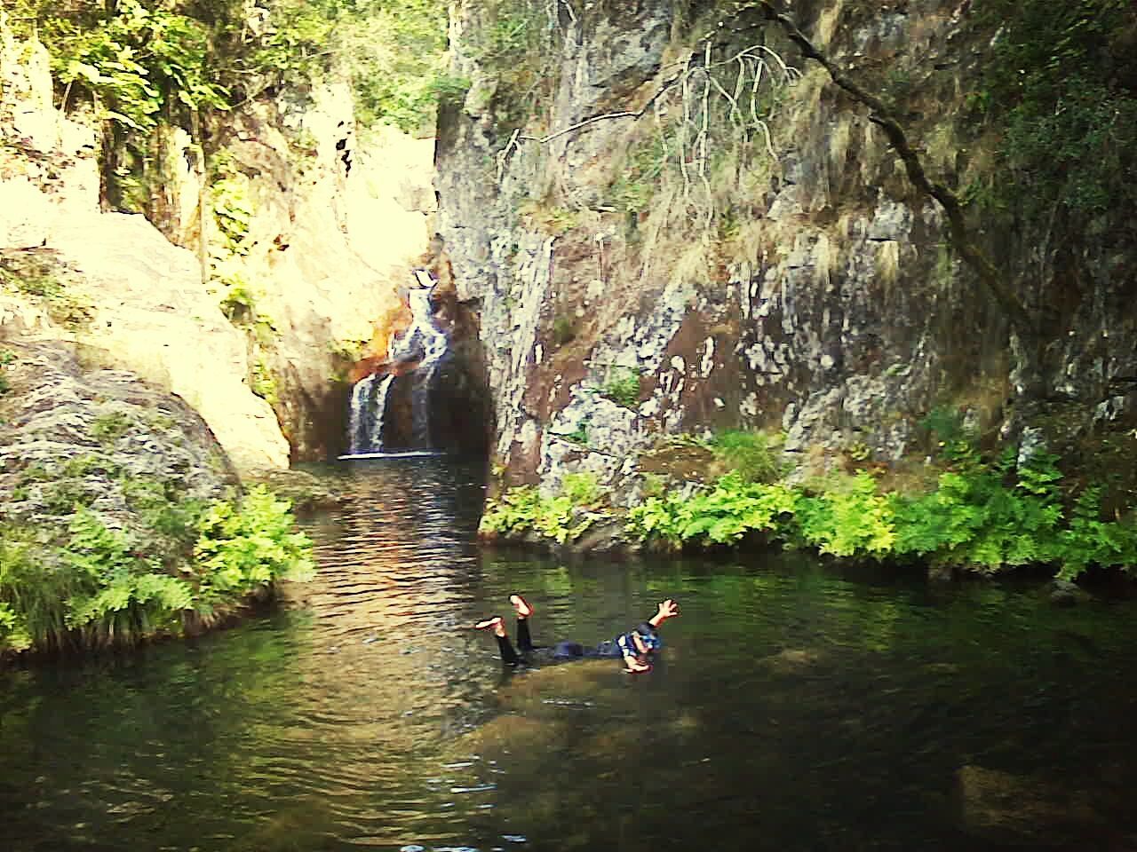 Diver swimming in water