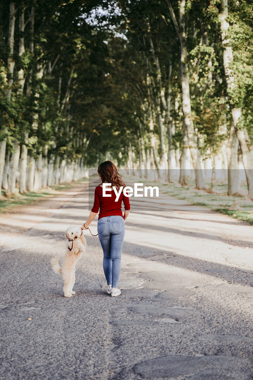 Rear view of woman walking with dog on footpath