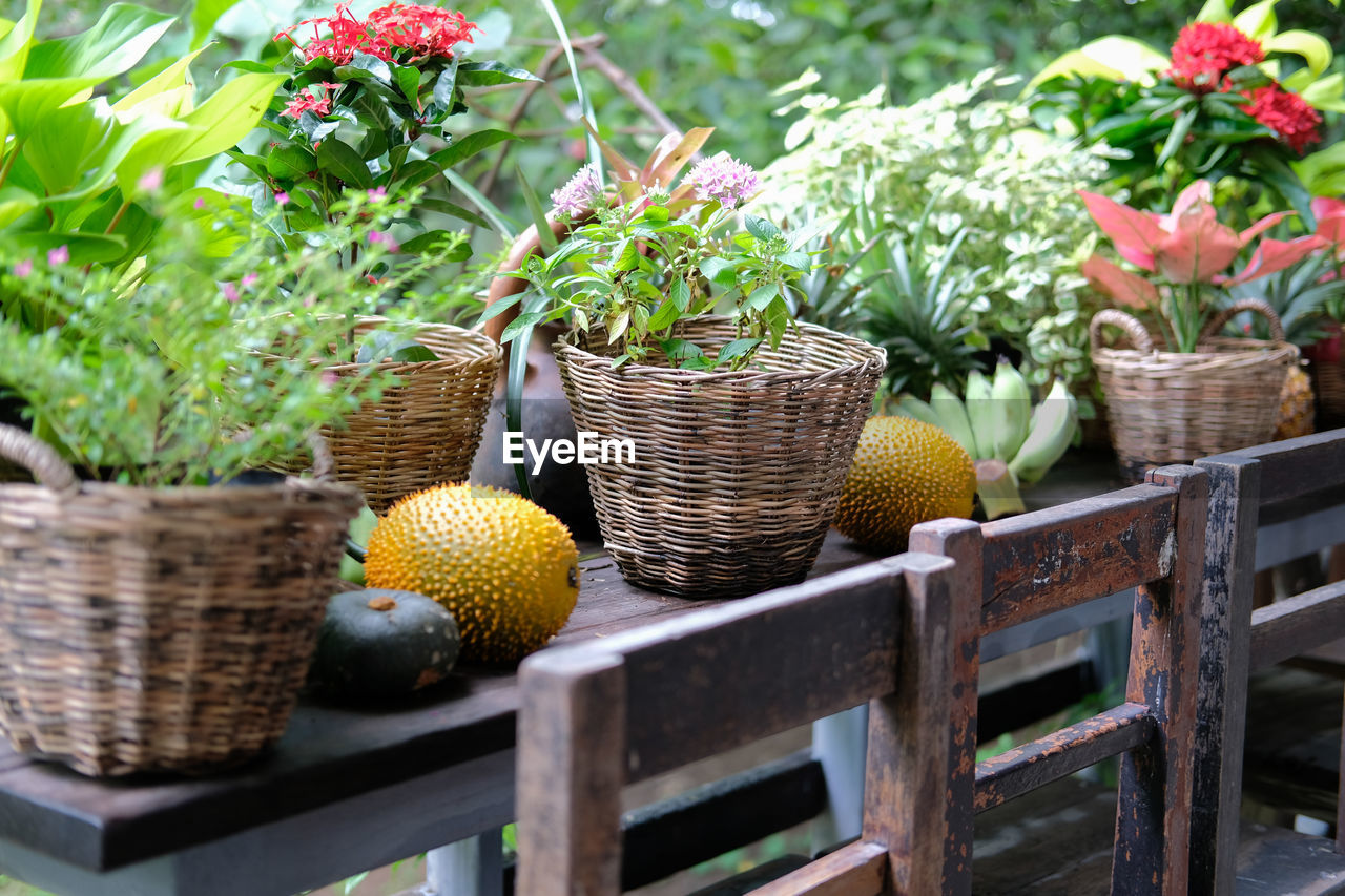 Flower and green plant leaves in wicker basket decorating on terrace balcony