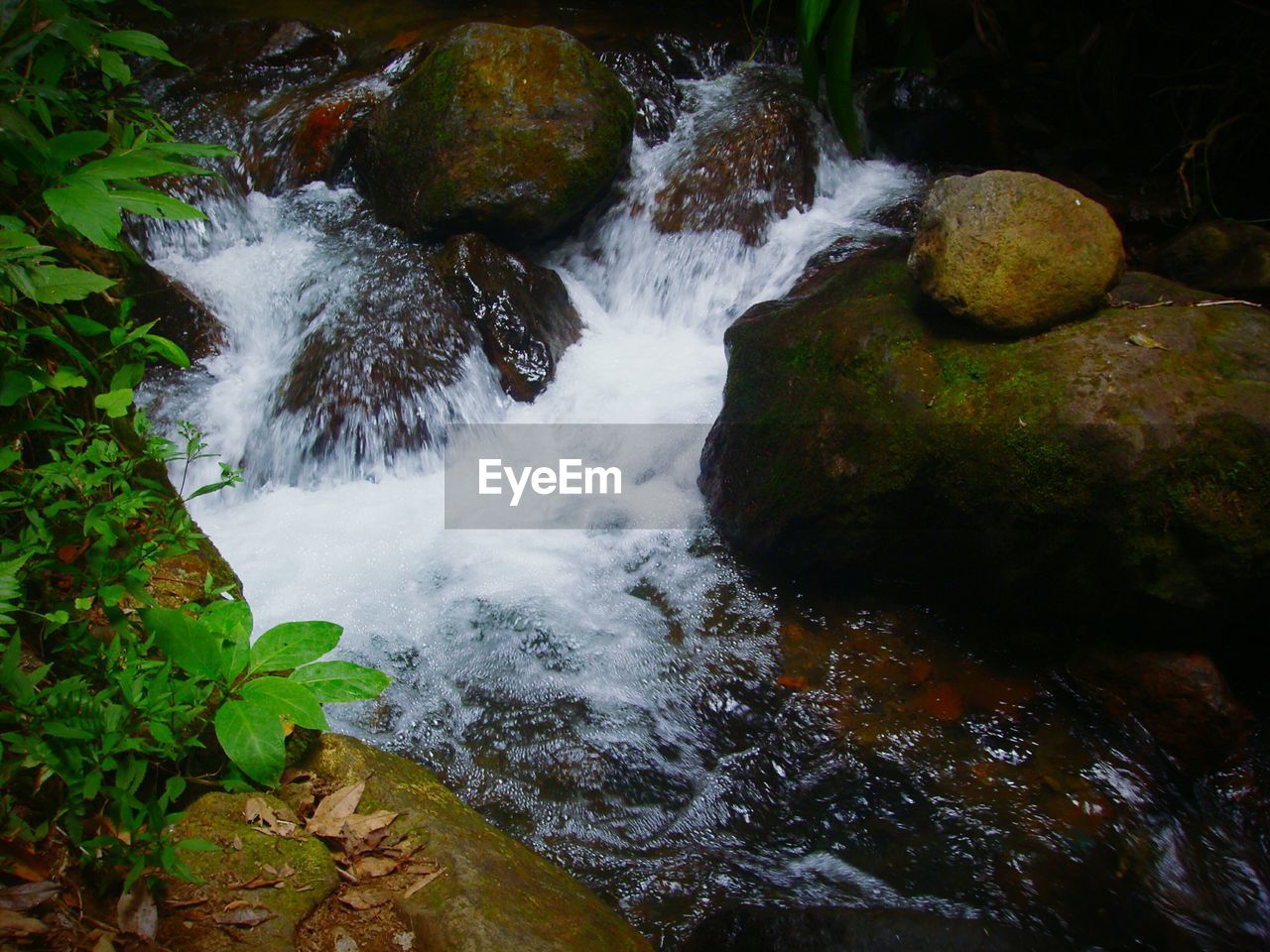 VIEW OF STREAM FLOWING THROUGH ROCKS IN FOREST