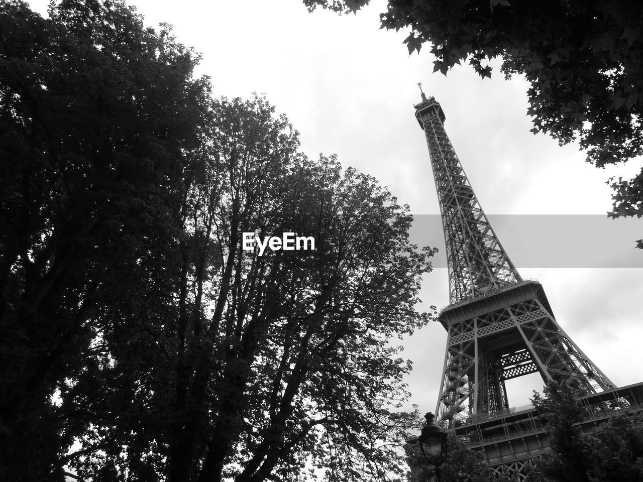 Low angle view of trees and eiffel tower against sky