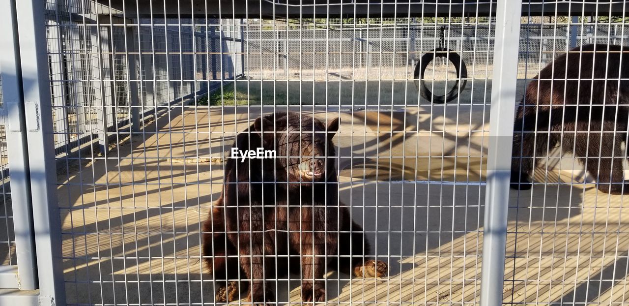 VIEW OF AN CAGE