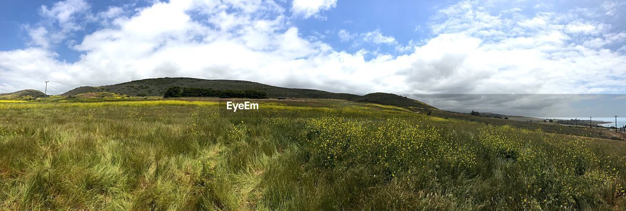 Panoramic view of landscape against sky