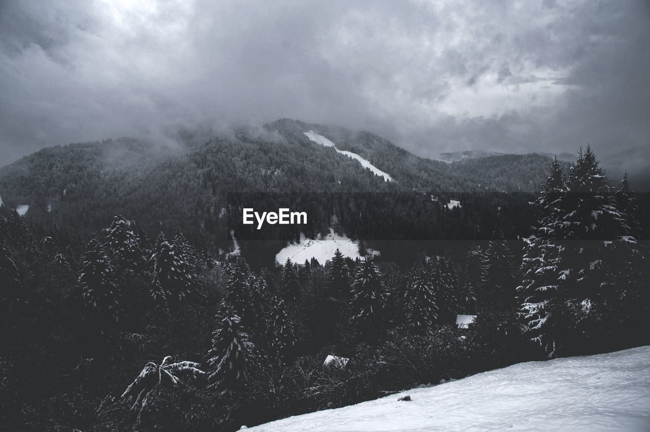 Scenic view of landscape against cloudy sky
