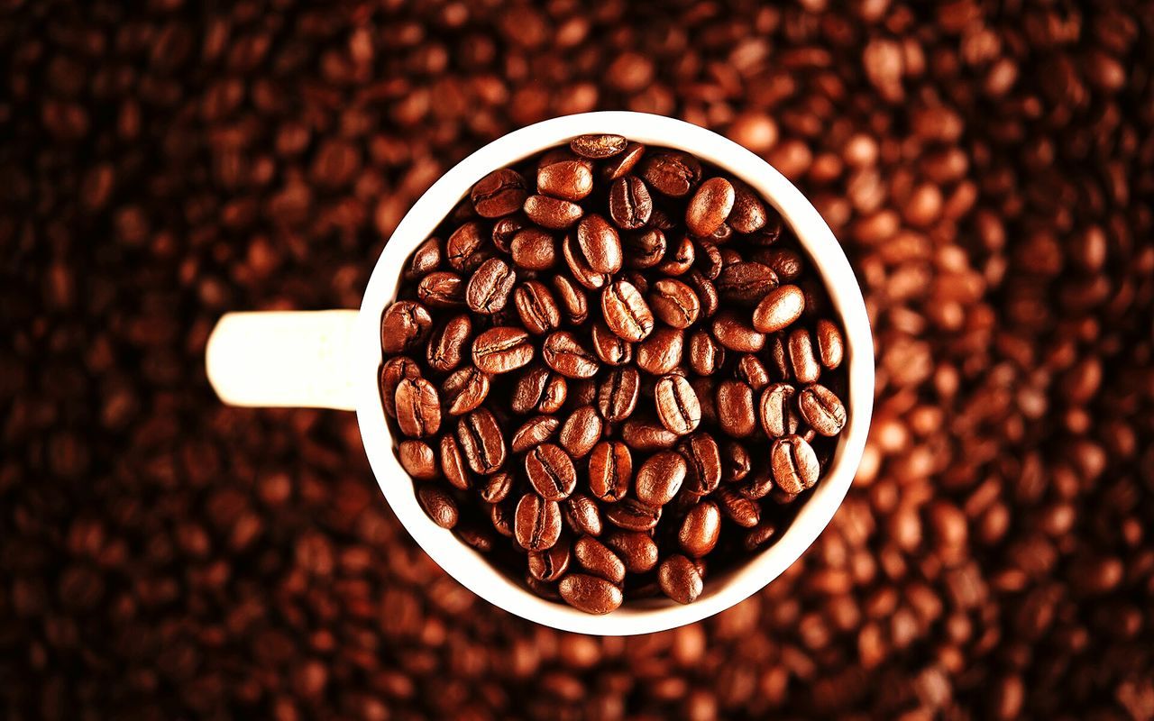 Directly above shot of roasted coffee beans in cup