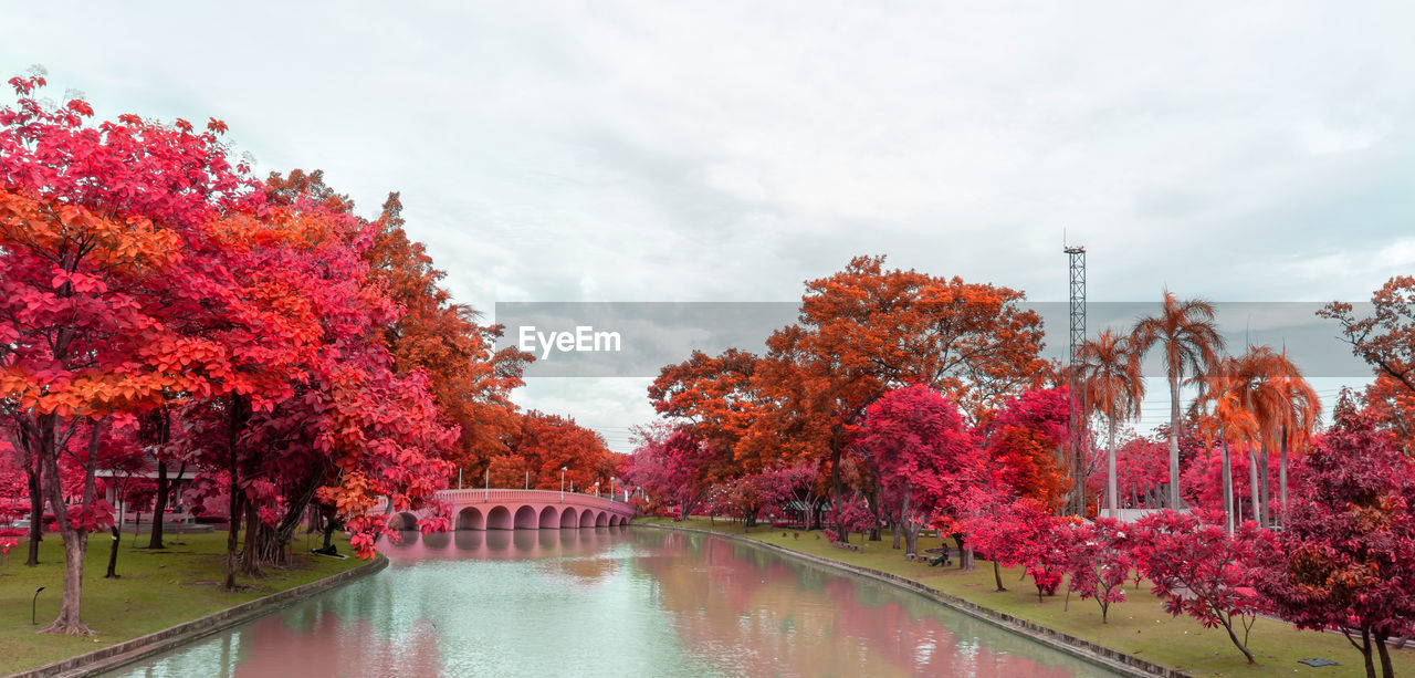 Autumn colorful leaves trees with pink orange and yellow leaf on green grass lawn 