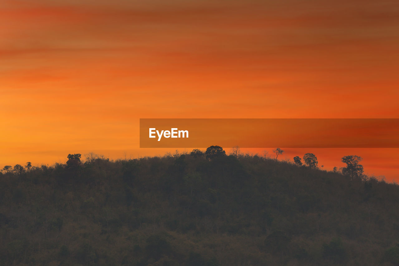 Top of the mountain with trees in the sunset background,tropical nature in thailand.