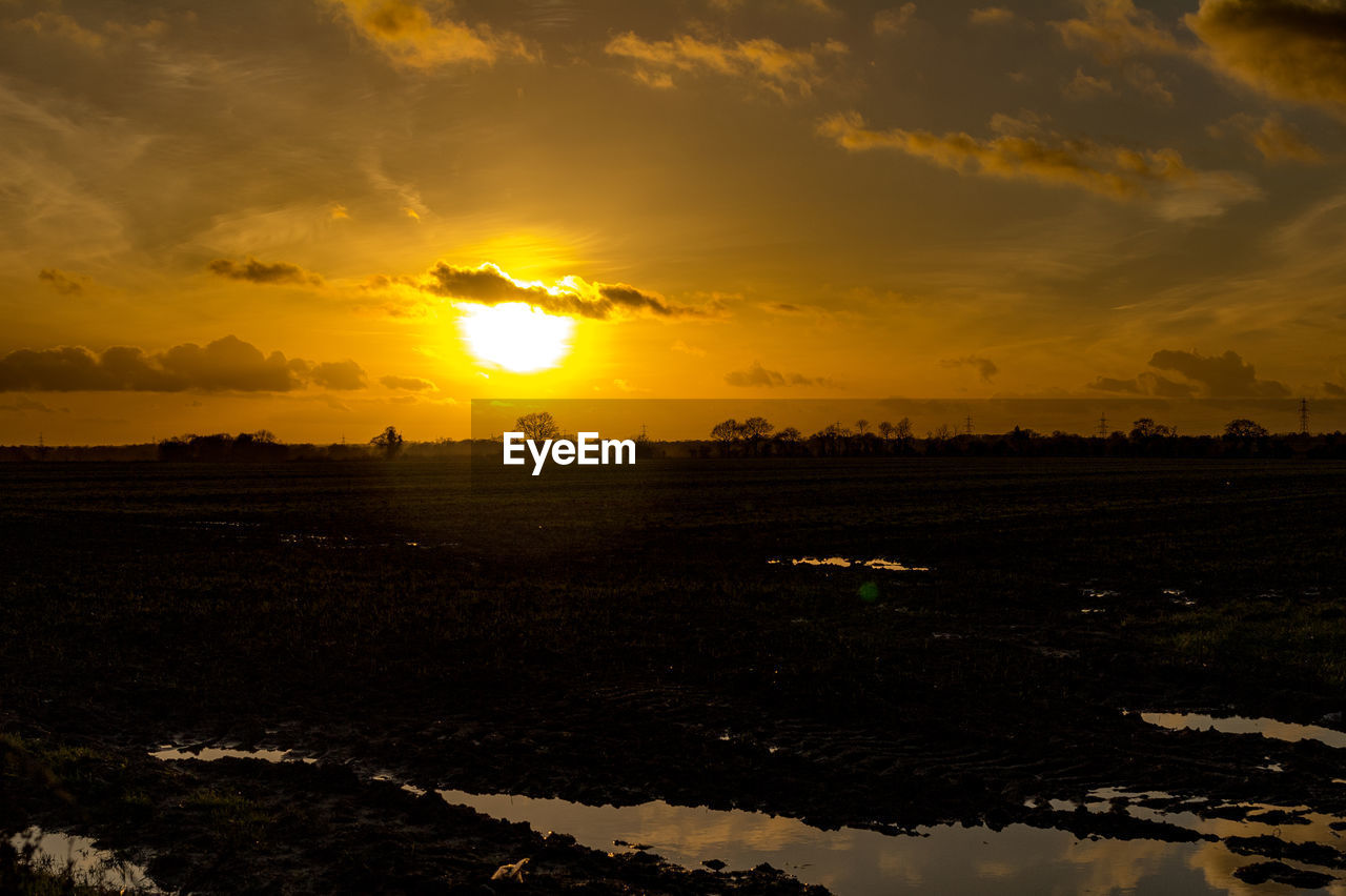 SCENIC VIEW OF FIELD AGAINST ORANGE SKY