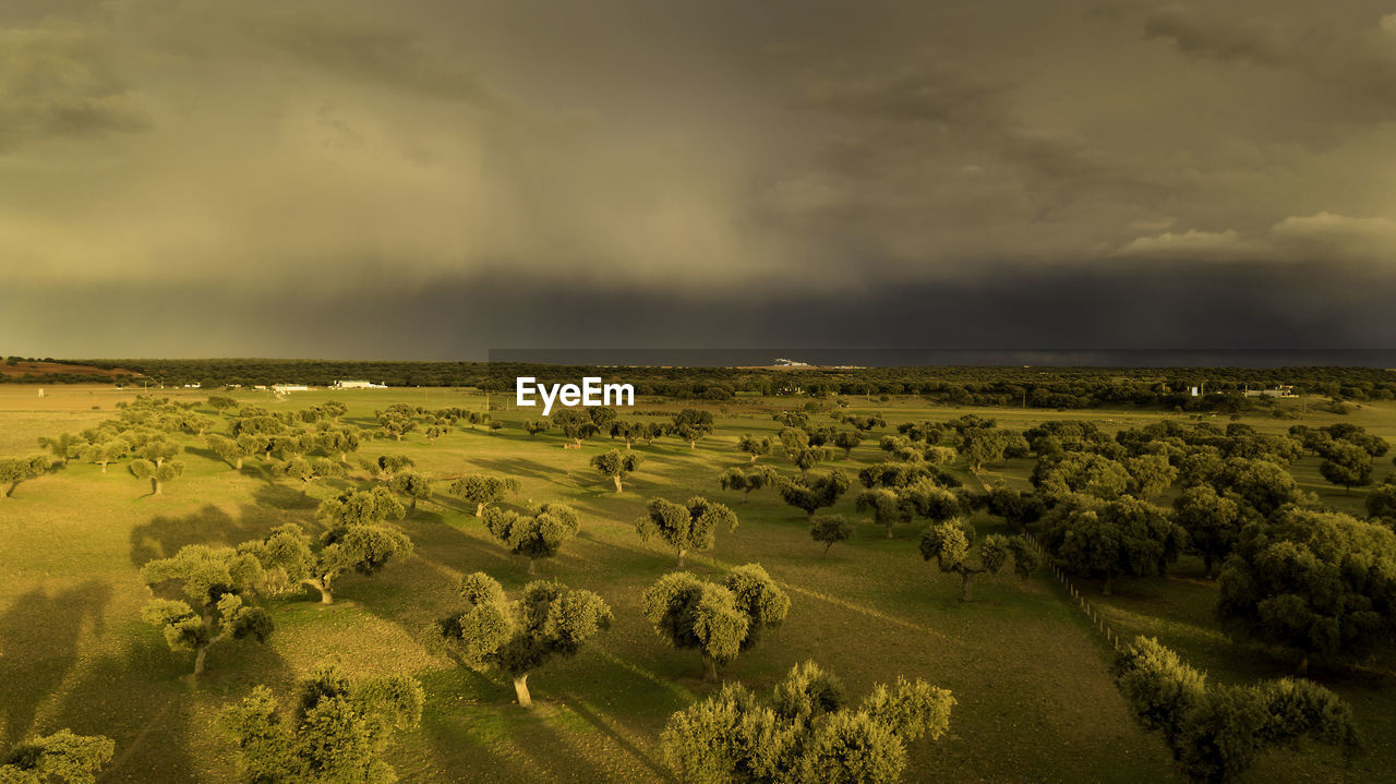 Scenic view of land against sky