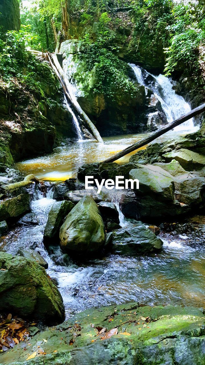 RIVER FLOWING THROUGH ROCKS IN FOREST