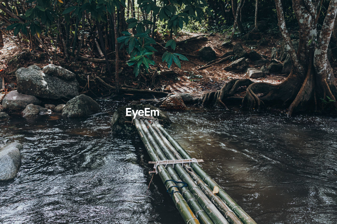 RIVER FLOWING THROUGH ROCKS IN FOREST