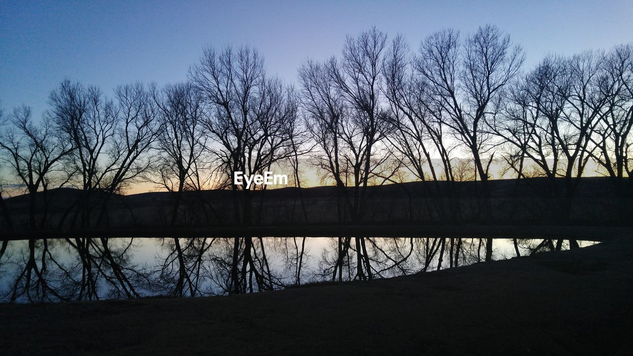 Silhouette of bare trees against sky at sunset