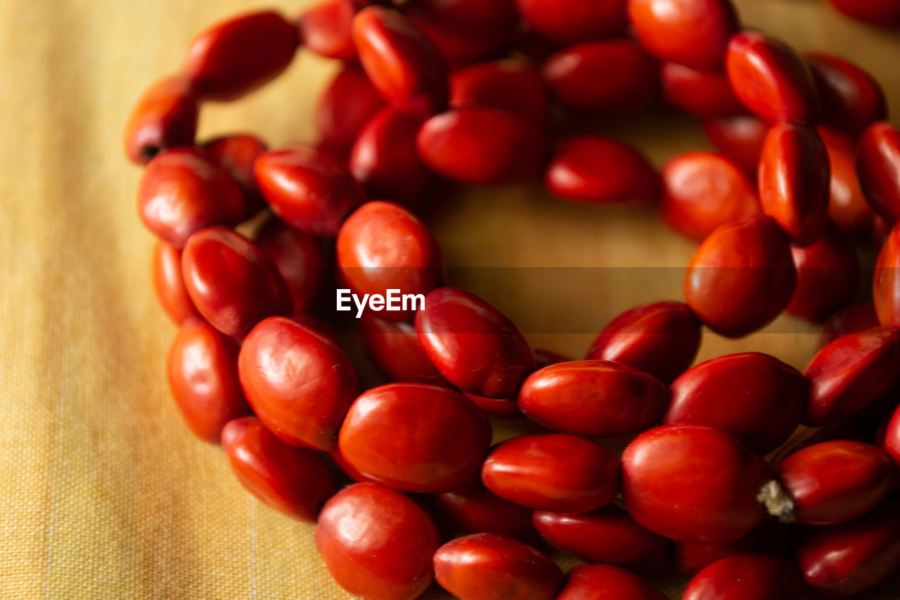 High angle view of seed necklace