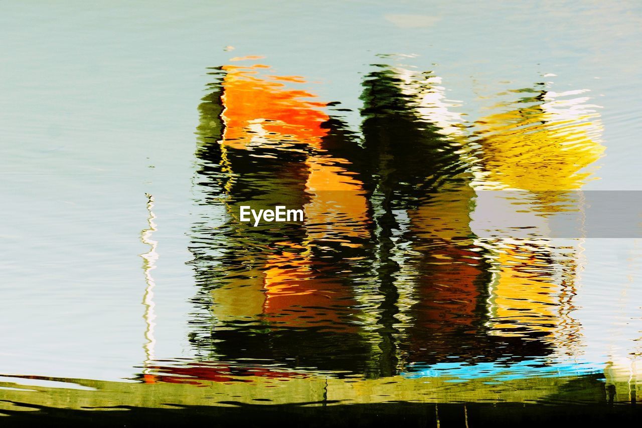 REFLECTION OF ORANGE IN WATER