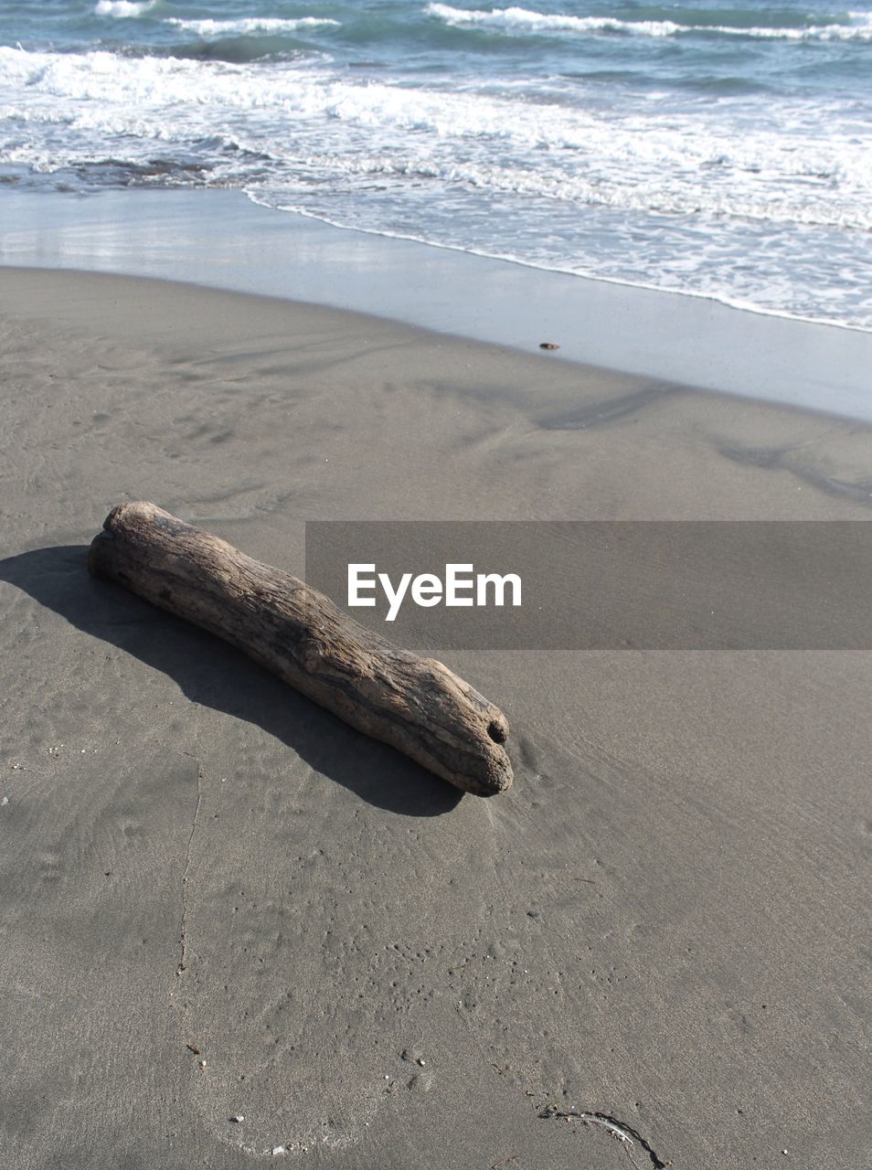 DRIFTWOOD ON SANDY BEACH