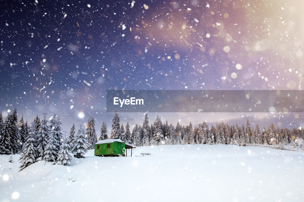 TREES ON SNOW COVERED LAND AGAINST SKY