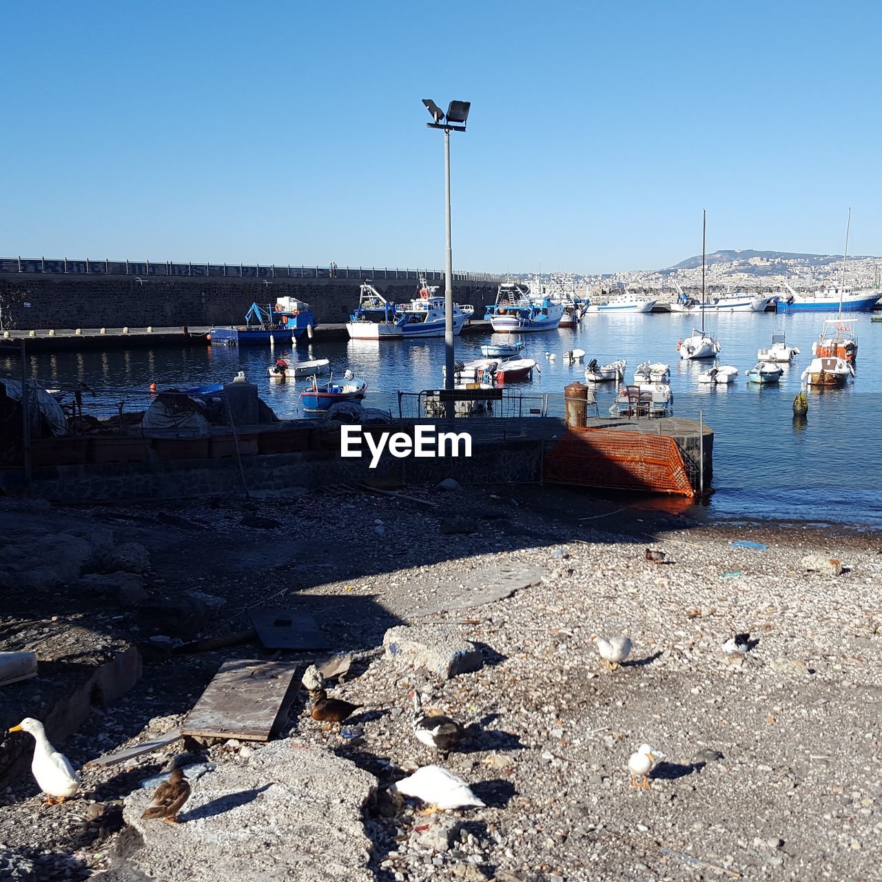 BOATS MOORED IN HARBOR