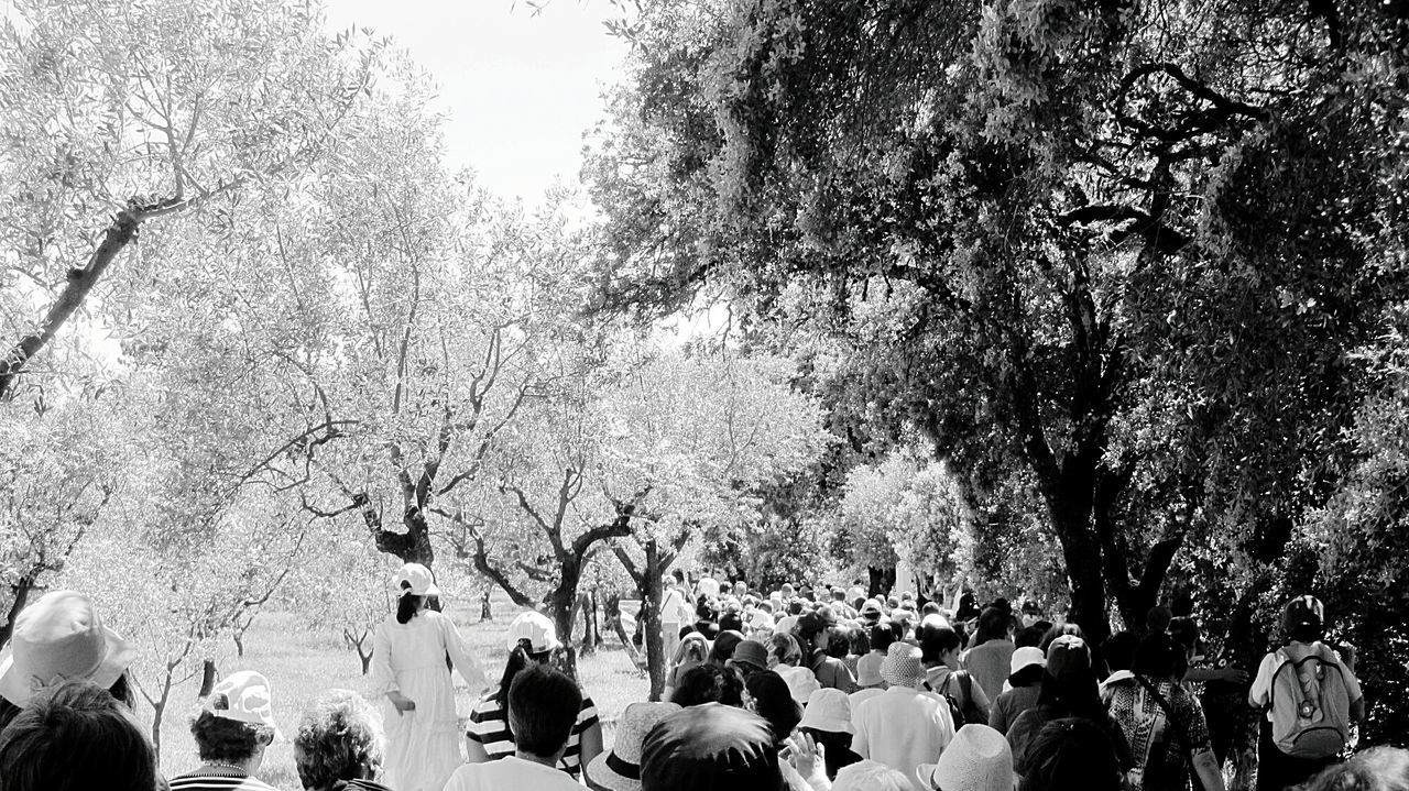 Crowd in park