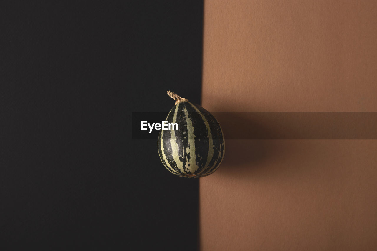 Close-up of pumpkin hanging on wall