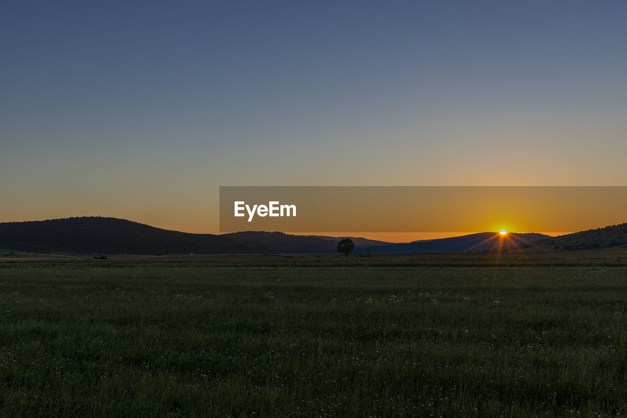 Scenic view of field against clear sky during sunset