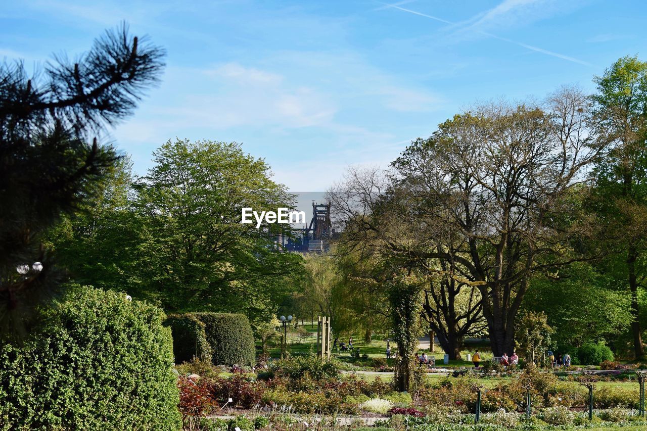 Trees in park against sky