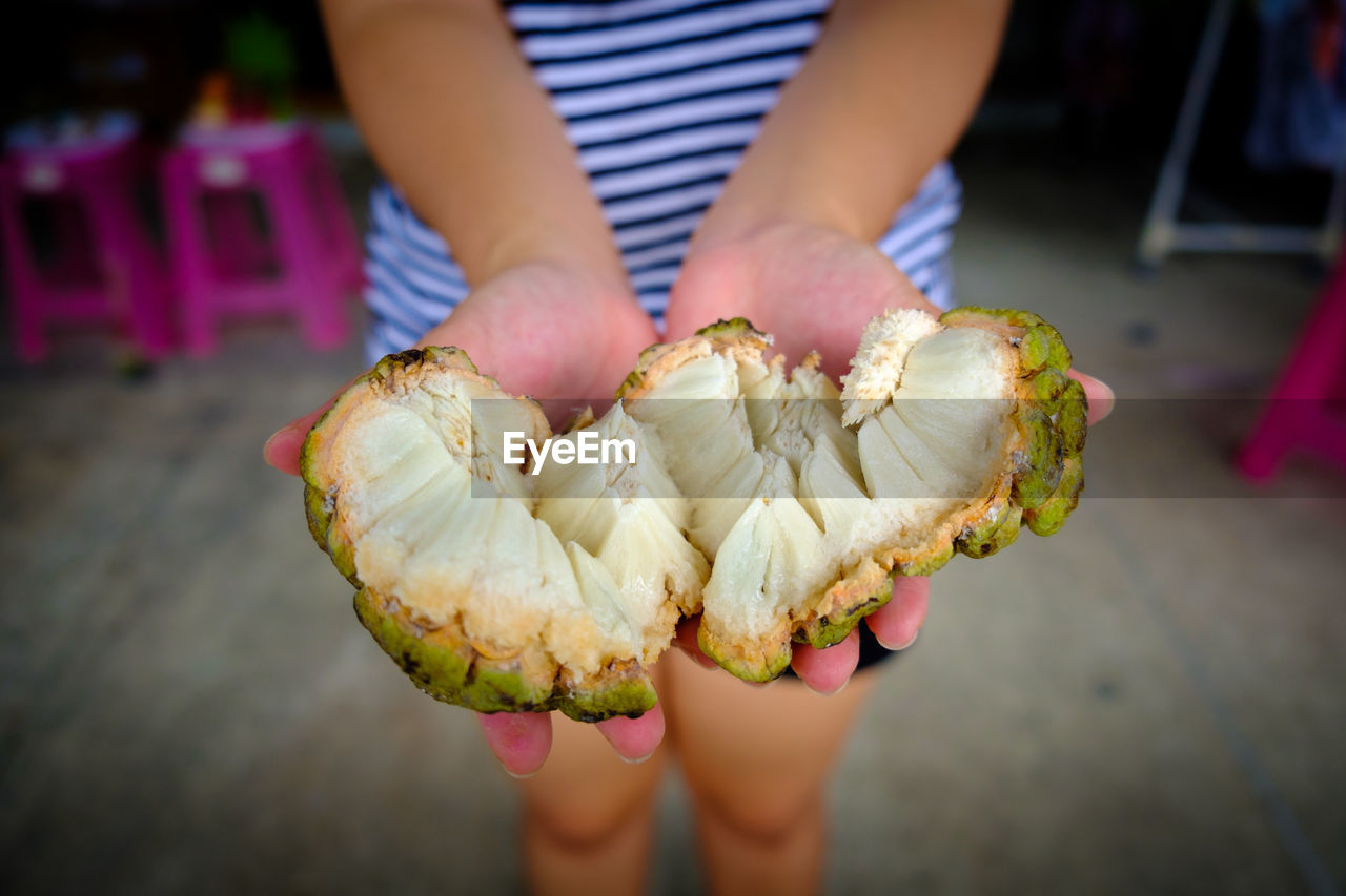 Close-up of hand holding custard apple ,sugar-apple