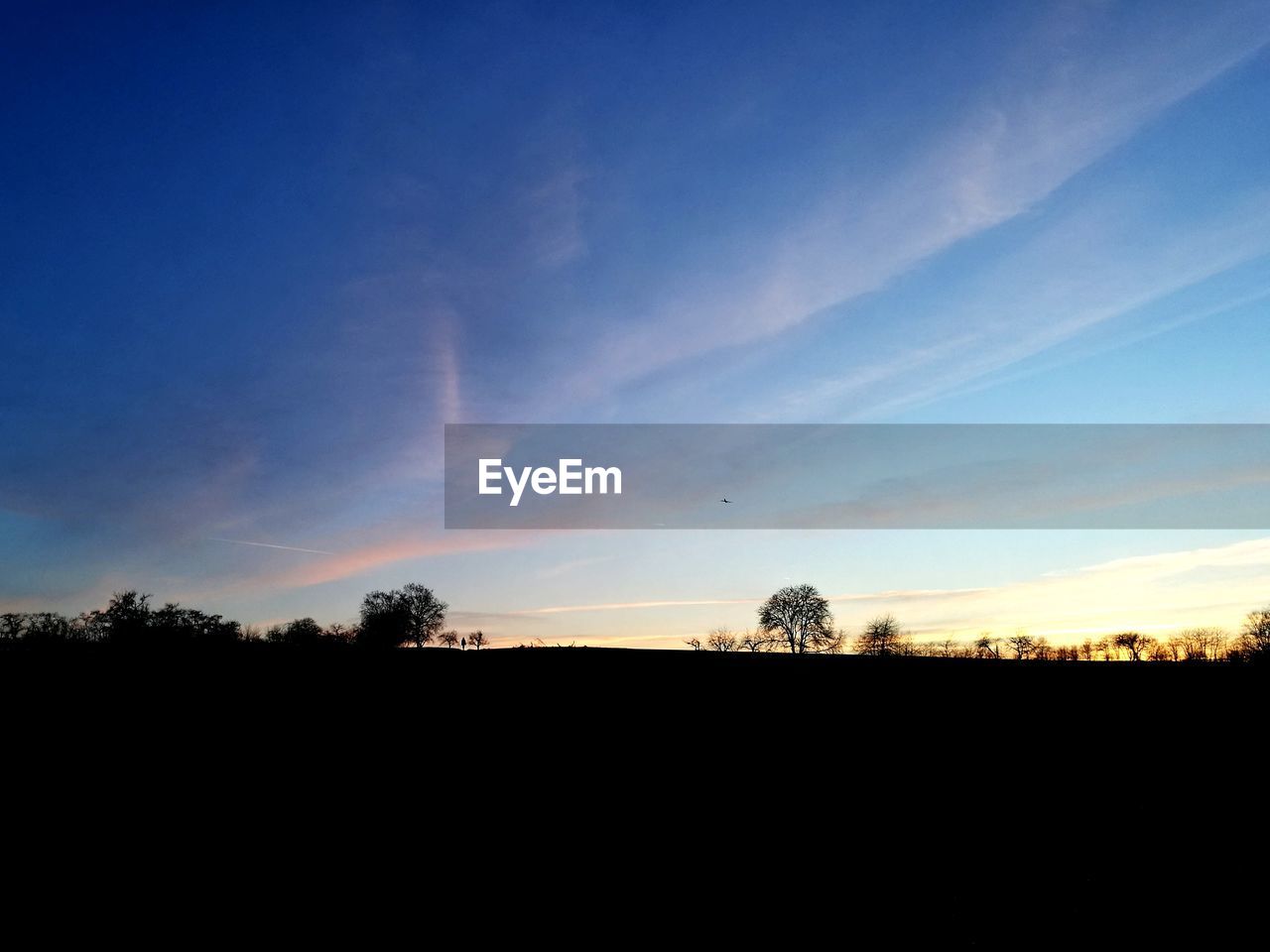 Silhouette trees on landscape against blue sky