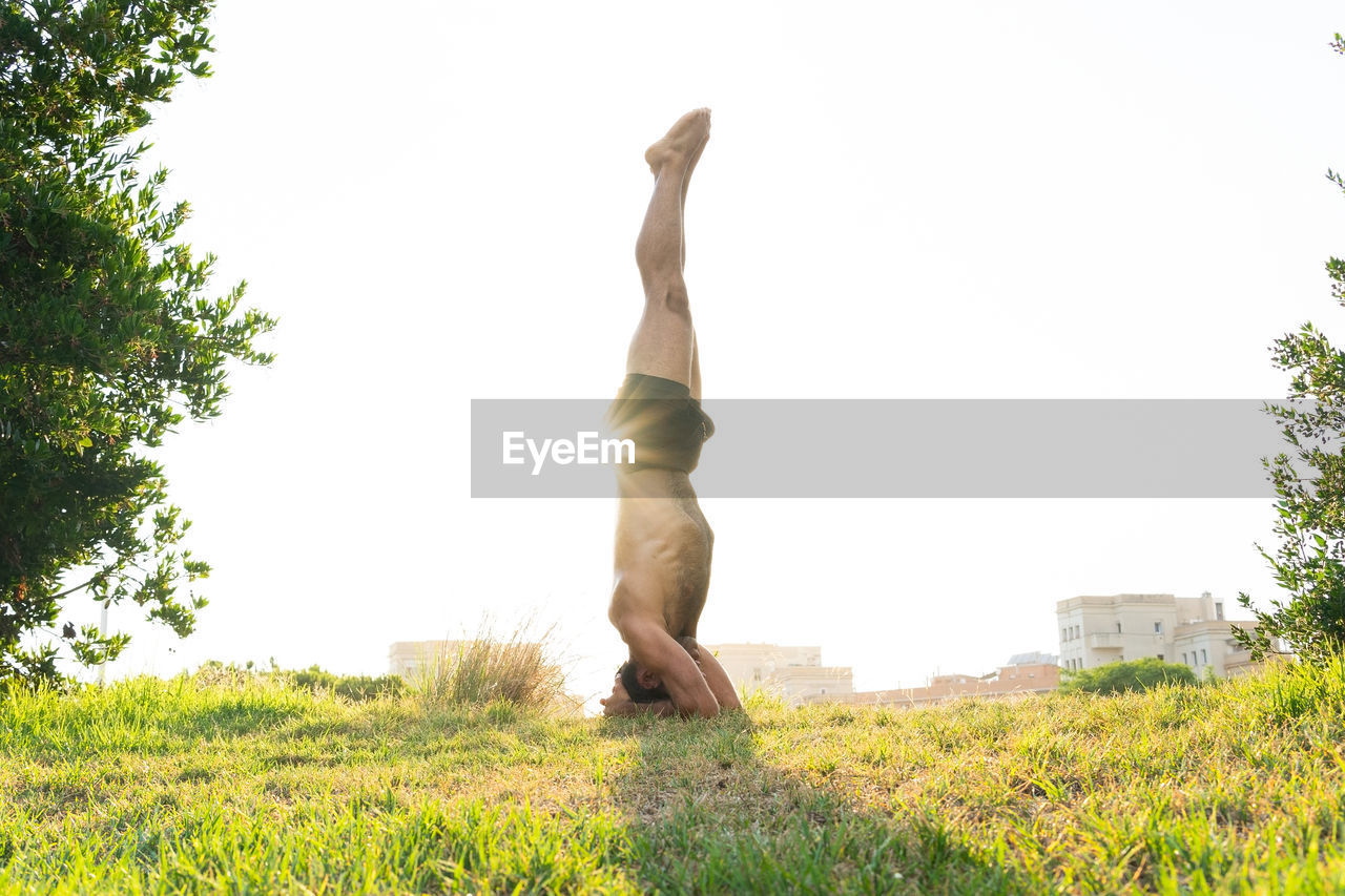 Green grass growing on lawn near side view of male doing headstand during yoga session on sunny day in park