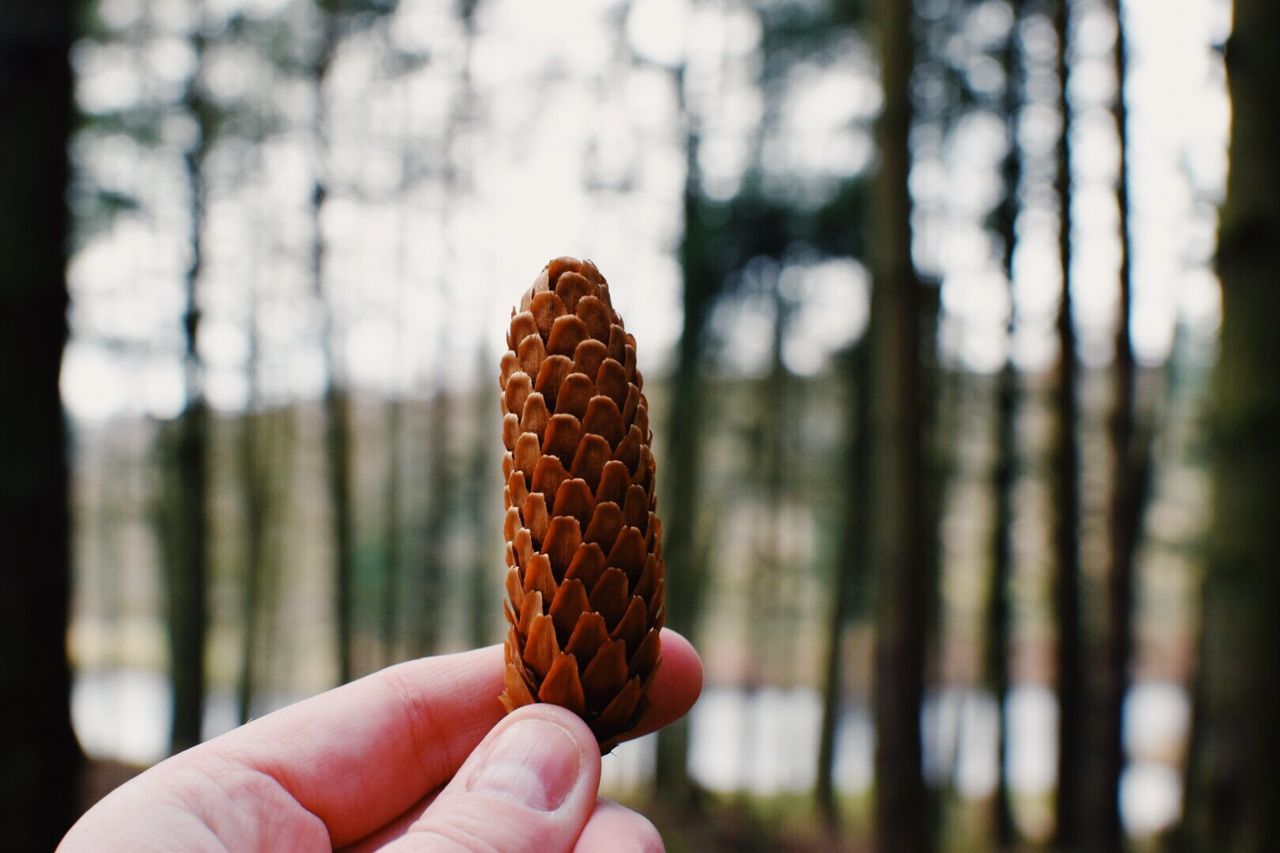 CLOSE-UP OF HAND HOLDING ICE CREAM