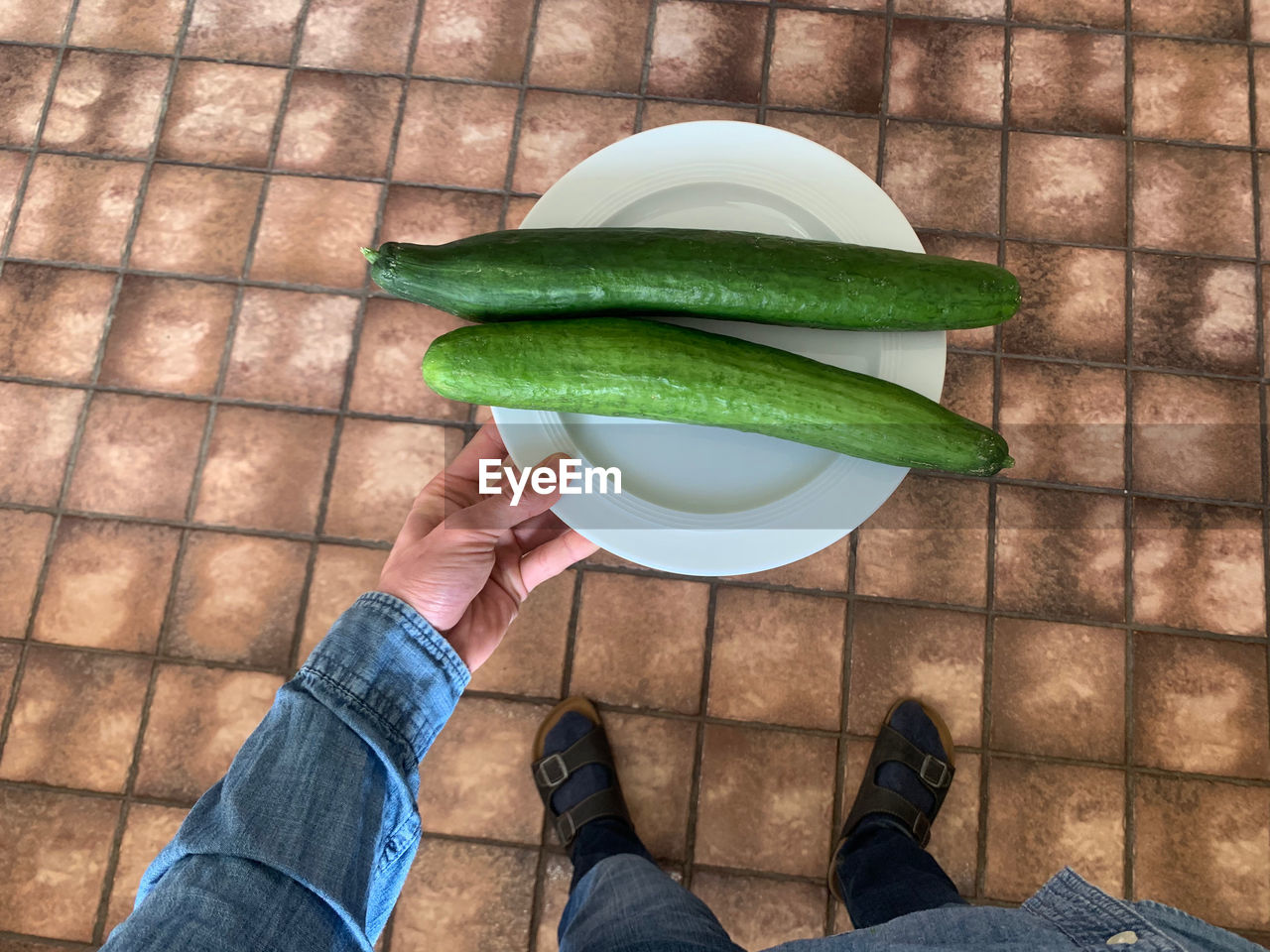 Low section of person holding two fresh green cucumbers on plate 