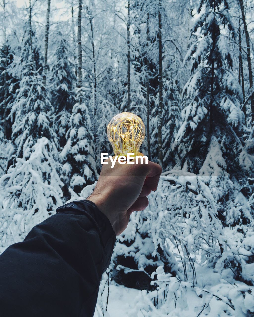 Cropped hand holding illuminated light bulb against snow covered trees