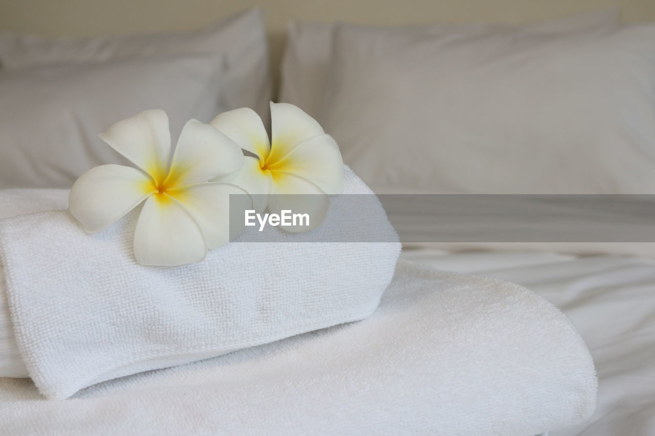 CLOSE-UP OF WHITE ROSE ON BED WITH FABRIC