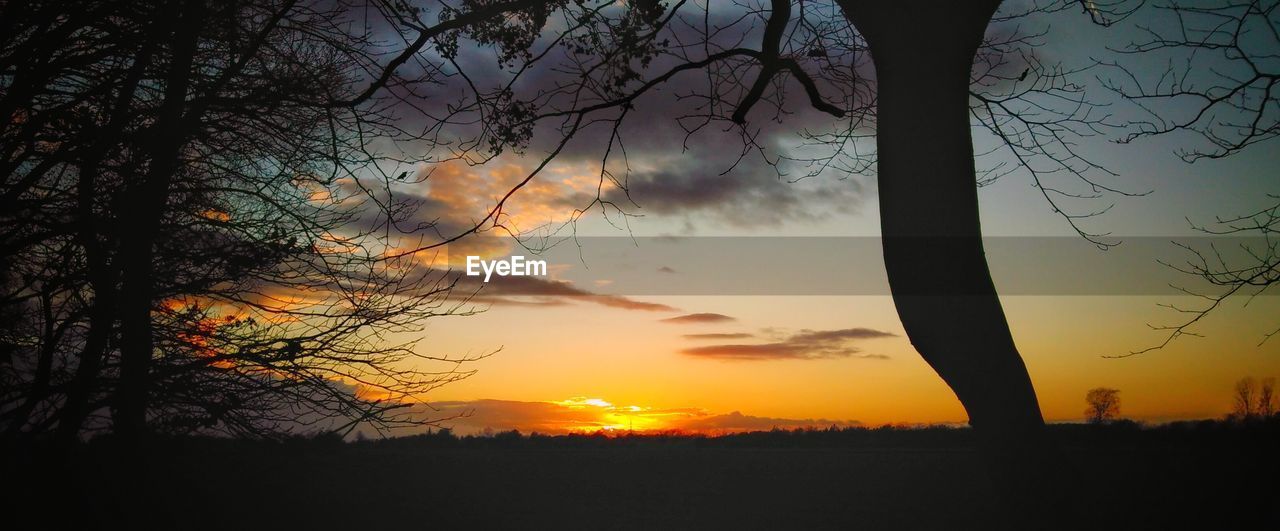 SILHOUETTE TREES ON LANDSCAPE AGAINST SKY AT SUNSET