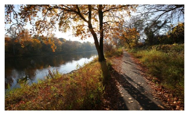 SCENIC VIEW OF LAKE ALONG TREES