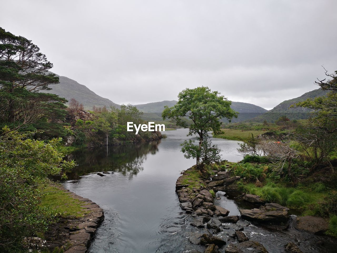 Scenic shot of the meeting of the waters passage with single tree in killarney national park