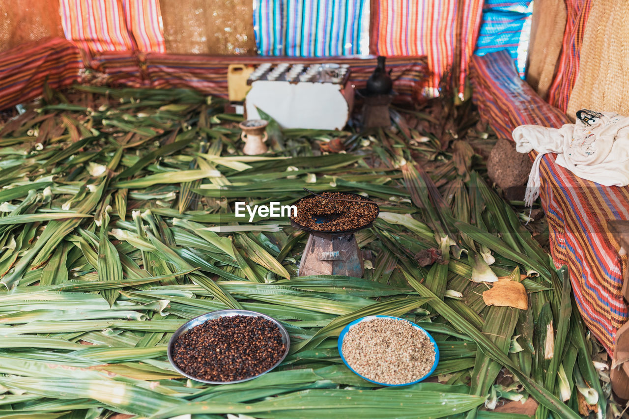 HIGH ANGLE VIEW OF VEGETABLES AND PLANTS ON TABLE