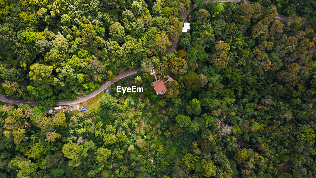Aerial view with a house in the middle of the forest in the countryside with green