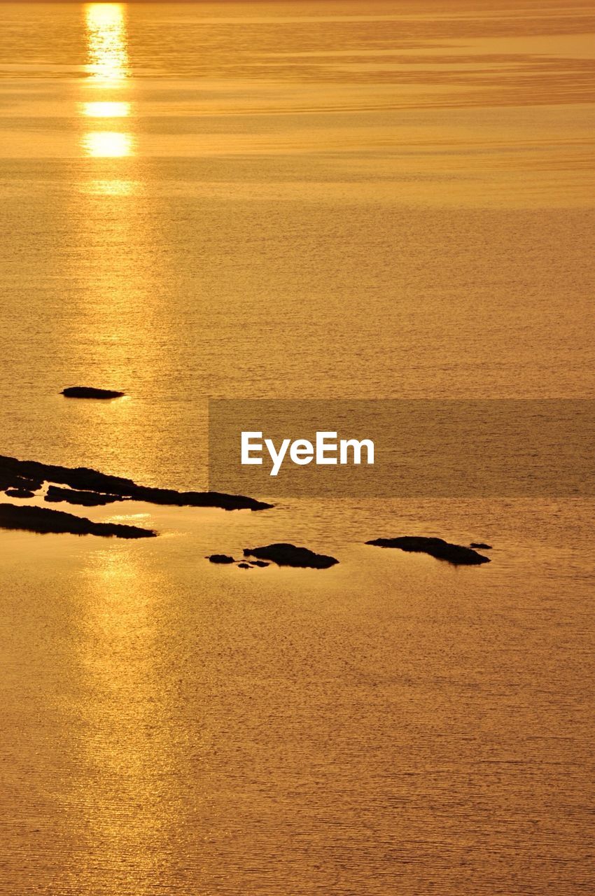 FLOCK OF BIRDS ON SEA AGAINST SKY DURING SUNSET